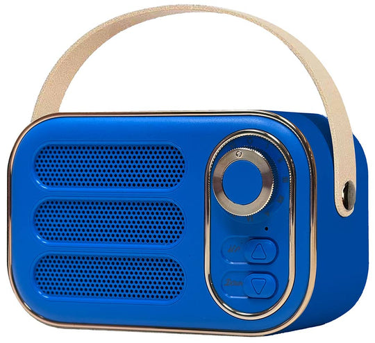 Vintage Bluetooth Speaker - Davidson Provision Co.