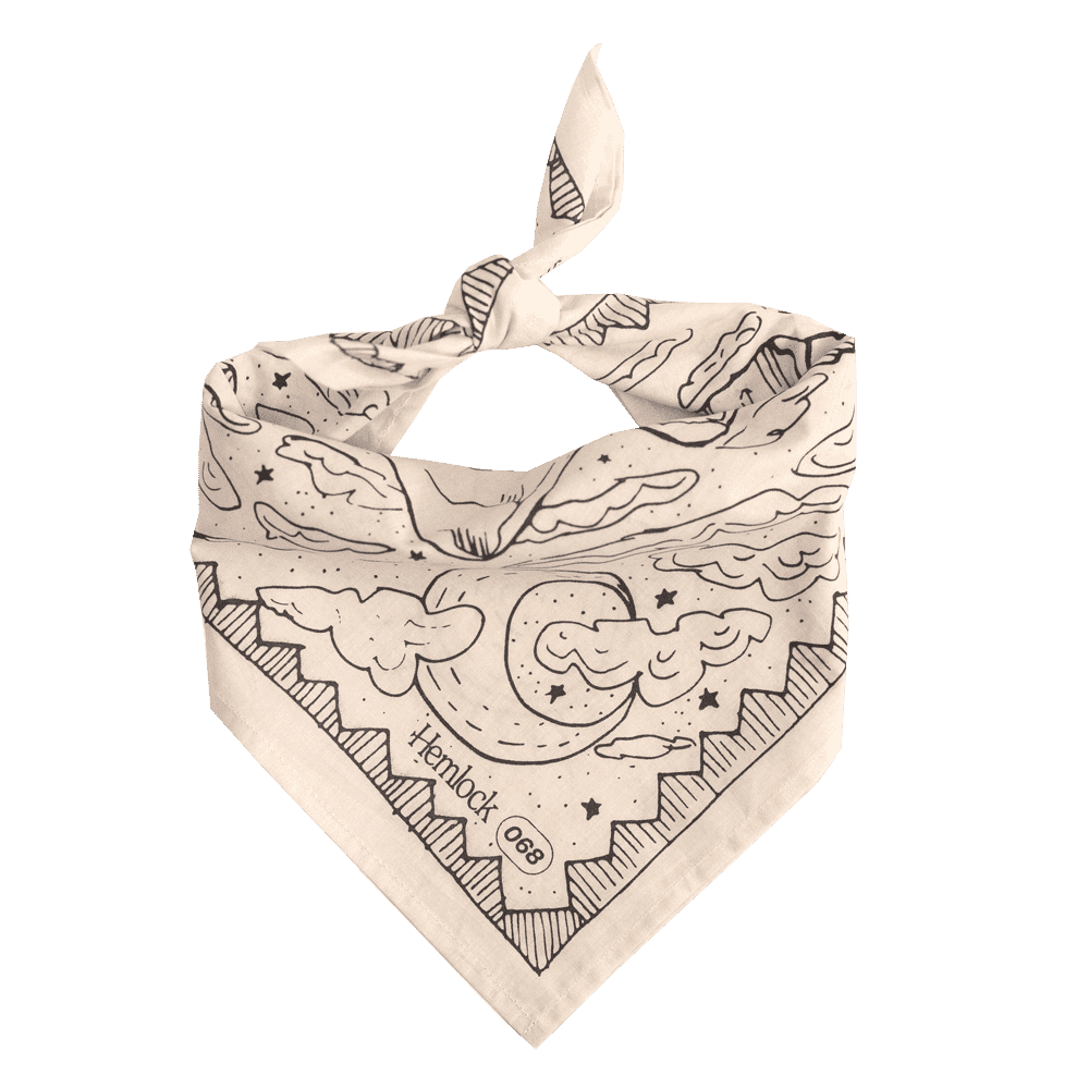 No. 068 Desert Bandana - Davidson Provision Co.